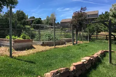 Image de Super mignon appartement de 500 pi2 au sous-sol. Animaux acceptés pour les animaux bien élevés.