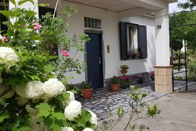 Image de Etna, sauge et romarin