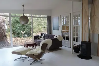 Image de Maison naturelle confortable au milieu de la forêt