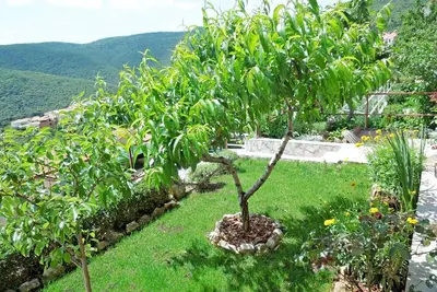 Image de Apartments Elide
