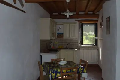 Codavolpe Giardino di Tea