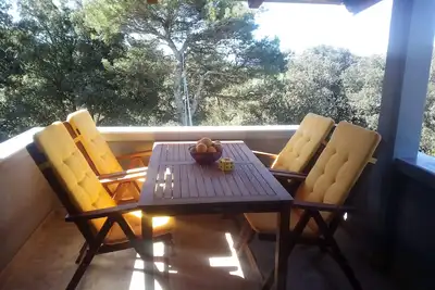 Image de Appartement d'une chambre avec la terrasse et la vue sur le mer Silba (A-17603-b)