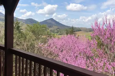 Image de Vue imprenable sur la montagne Bluff!