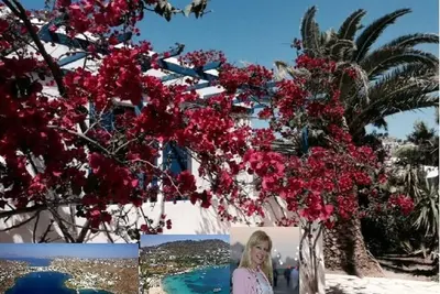 Image de Magnique Ornos-Ornos Beach House / Beach 1 'Walk, Ville 3 Km