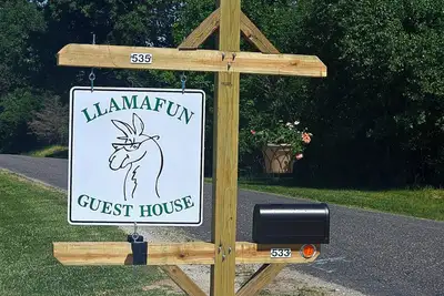 Image de Maison De Campagne ENTIÈREMENT RÉNOVÉE Avec Des Llamas Juste À L'EXTÉRIEUR Des FENÊTRES!