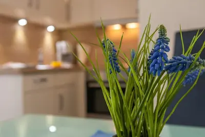 Image de Appartement Little Pearl