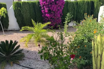 Image de Maison duplex joliment présentée
