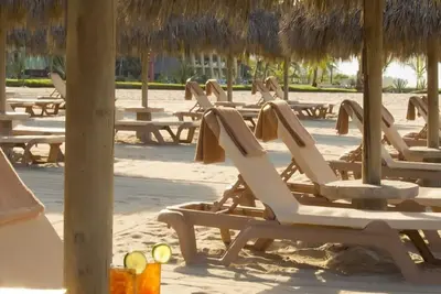 Image de Passez Thanksgiving au paradis!