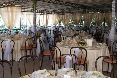 Image de ferme d'eucalyptus
