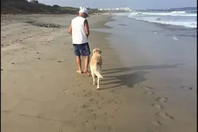 Image de Venez profiter de notre Casa La Vida