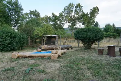 Image de Albig  Alte Mühle