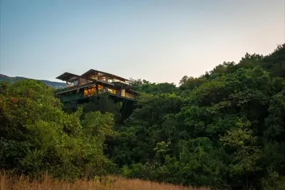 Image de Séjour confortable dans une cabane dans les arbres, moderne et luxueux