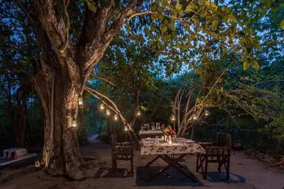 Image de Séjour Treehouse luxueux et de bon goût