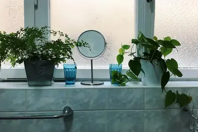Appartement une chambre à coucher Oldtimer