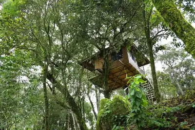 Image de Superbe belle vue séjour / Resorts / Tree Houses
