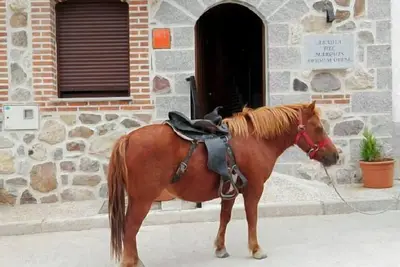 Image de Appartement rural El Coro pour 4 personnes