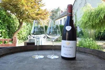 Image de Charming gite with private garden in hautes cotes de Beaune, near Voie Verte.