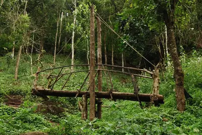 Image de Séjour paradisiaque dans la cabane dans les arbres