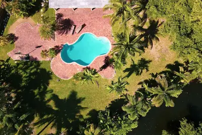 Image de Palmiers et paradis! 3br, 2ba maison avec immense jardin et piscine d'eau salée!