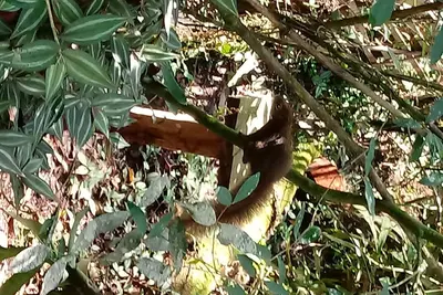 Image de Lieu avec place pour la pêche