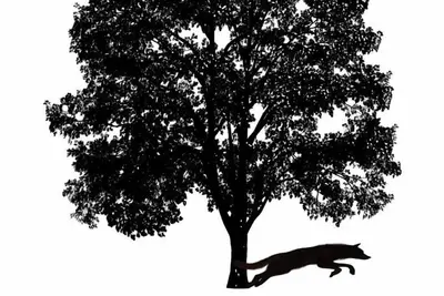 Image de Le calme ici si proche