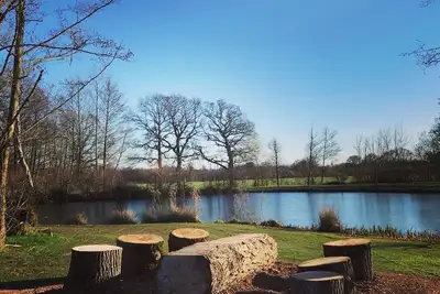 Image de Eco spacieux, chalet acceptant les animaux, forêt de Dean, Wye Valley