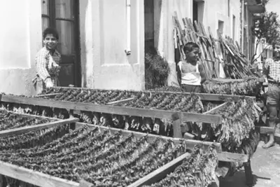 Image de Donna Michelina demeure b & b