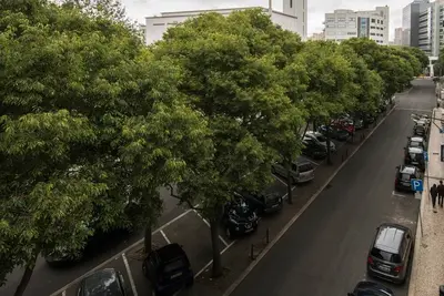 Saldanha Charming Palace