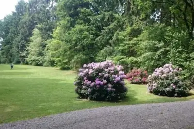 Image de Maison de vacances Gudendorf pour 1 - 4 personnes avec 2 chambres à coucher - Maison de vacances