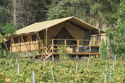 Image de Lodge Tente Safari Syrah