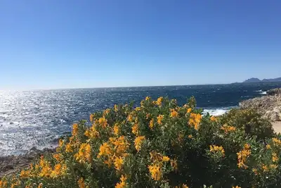 Image de Splendide Appart 45m2, grande terrasse, vue Collines