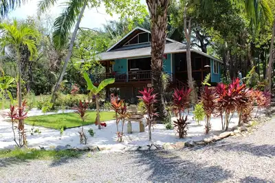 Image de Pour toute la famille, plage privée, Piscine, Magasin de plongée, Nature, Bar & Grill