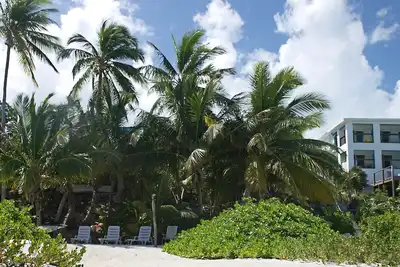 Image de Condo au deuxième étage en bois flotté à Hoopers Bay avec une vue imprenable