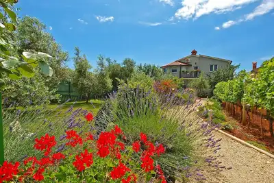 Image de Appartement de vacances pour 4 personnes env. 40 qmà Fažana, Istrie (Istrische Riviera)