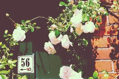 Image de Appartement de 2 pièces pour familles avec salle de bain, salon et cuisine ouverte