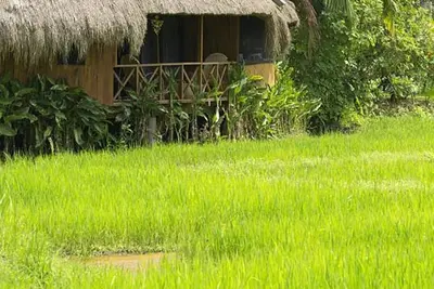 Image de Green Lodge- Cabanes Perchees