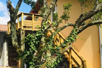 Image de Maison De Vacances - 6 Pers Max - 90m²- Location Seignosse