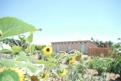 Image de Orchard Guesthouse Cottage