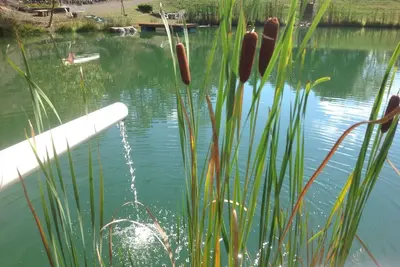 Image de Bond D Pond et branche nord du camping de la rivière Potomac.