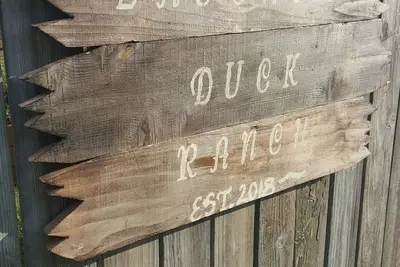 Image de Rire De Canard Riant. . . . Propriété canal et à quelques pas de la plage!