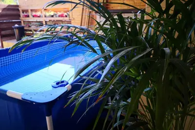 Image de Un confortable appartement de vacances de luxe avec piscine à eilat en Israël
