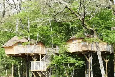 Image de Cabane Dans Les Arbres 4 Personnes