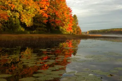 Image de Chalet récemment rénové près du parc national Acadia