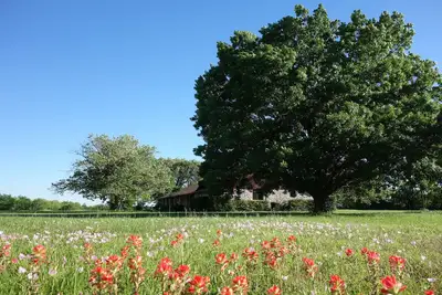 Image de Belle maison de campagne paisible et familial près de Austin Tx, Acl, Cota