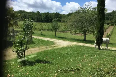 Image de Gîte privé à louer dans un domaine viticole