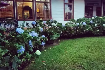 Image de Meilleure expérience d'immersion dans une ferme à la Finca Queveri