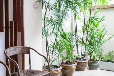 Image de Accom confortable. 4 (Bts Saphan Khwai)