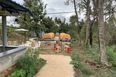 Image de Camping au camp de jungle de désert