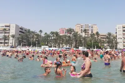 Image de Appartement \"Stefania\" Torrevieja / Los Locos