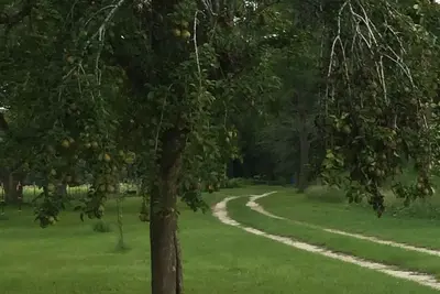 Image de Stagecoach Historique Rd, SÉJOUR À La Ferme De Loblolly Forest PRÈS De La Petite RIVIÈRE Satilla